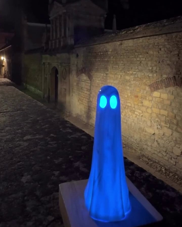 The Fen Skater - Illuminated