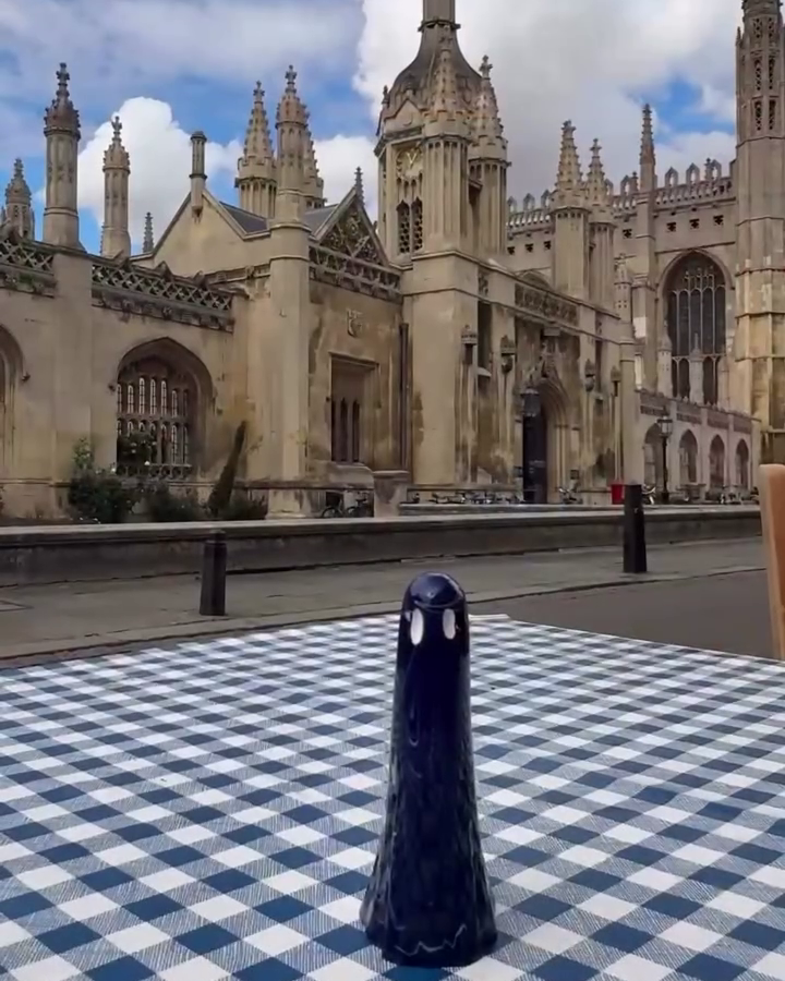 The Gown Elder
