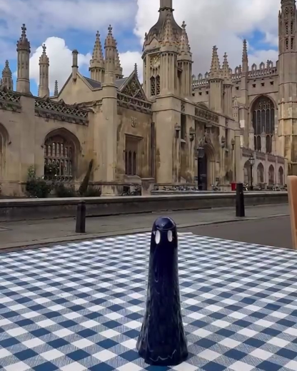 The Gown Elder