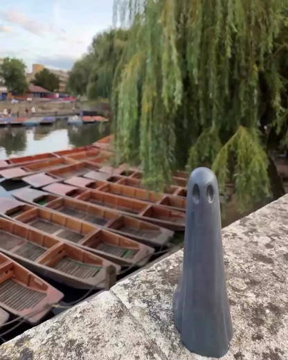 The Eel Catcher