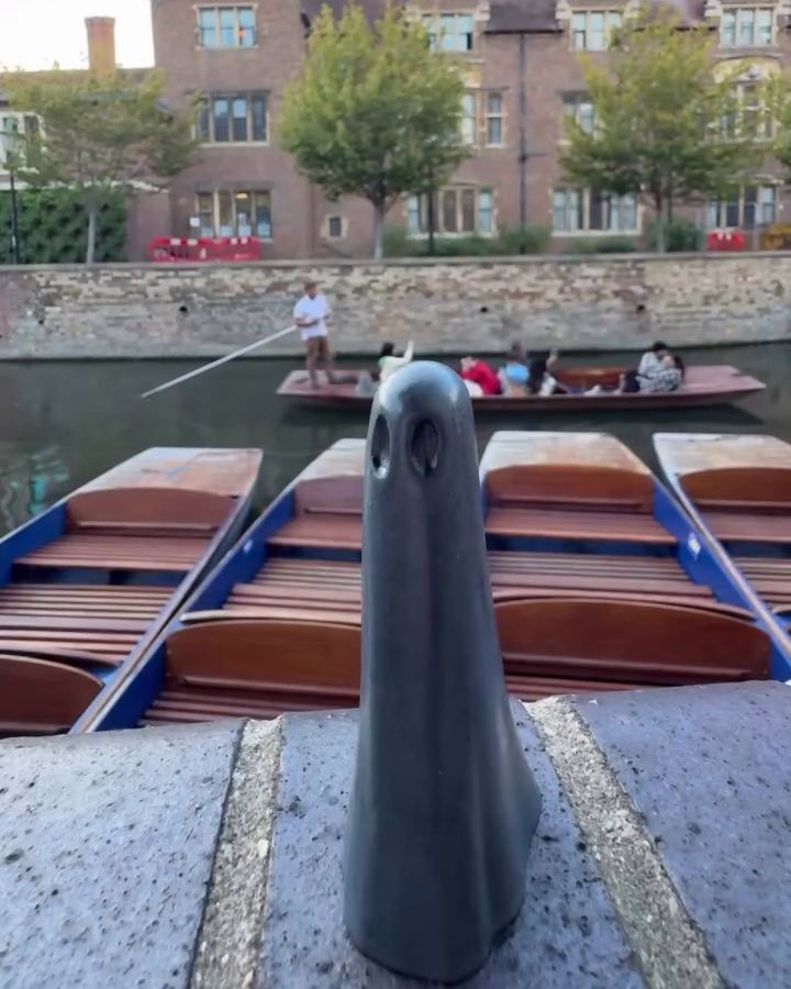 The Eel Catcher